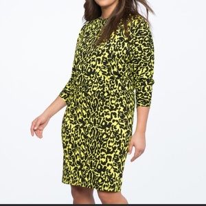 Eloquii Dolman Sleeve Dress